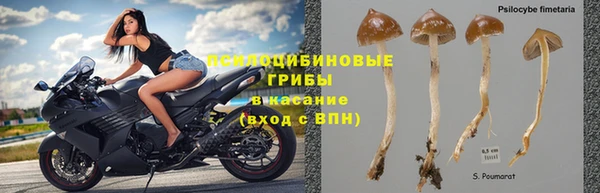 дурь Волоколамск