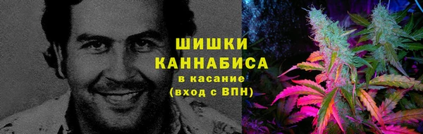 Альфа ПВП Володарск
