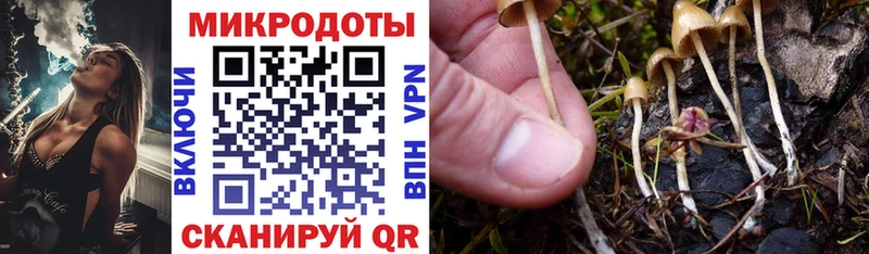 Псилоцибиновые грибы MAGIC MUSHROOMS магазин продажи Пушкино